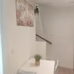 Bulle Tropicale Jungle