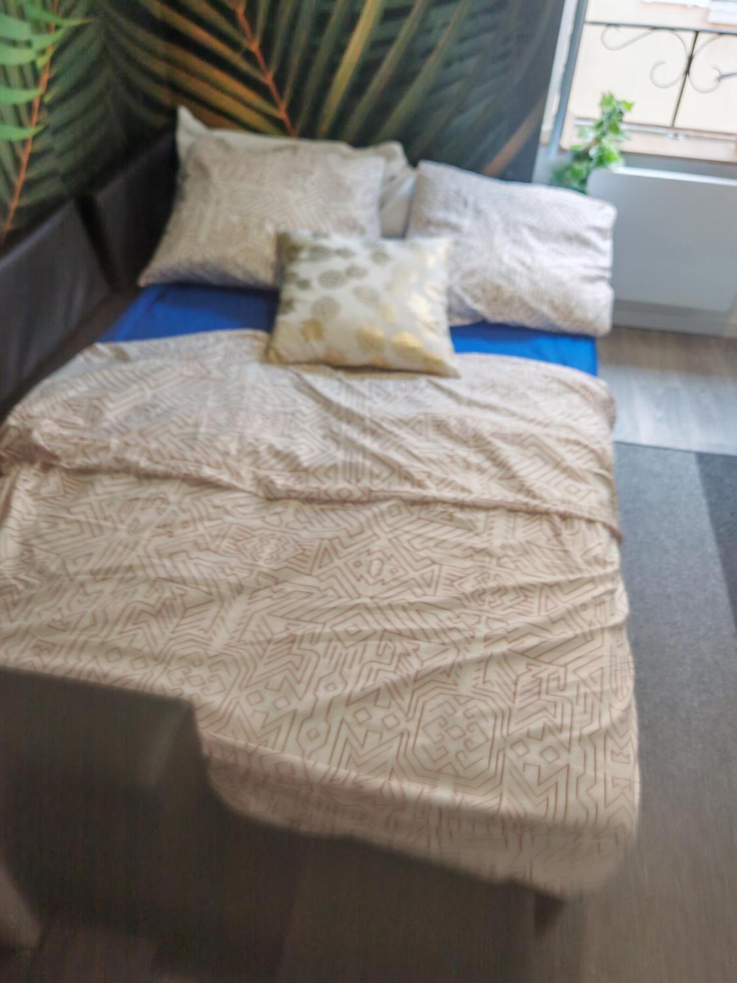 Bulle Tropicale Jungle * Clermont-Ferrand